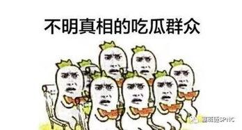 吃瓜群众都看懂了什么书,吃瓜群众都看懂了哪些热门书籍